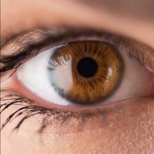 Meet your Posher, Syed